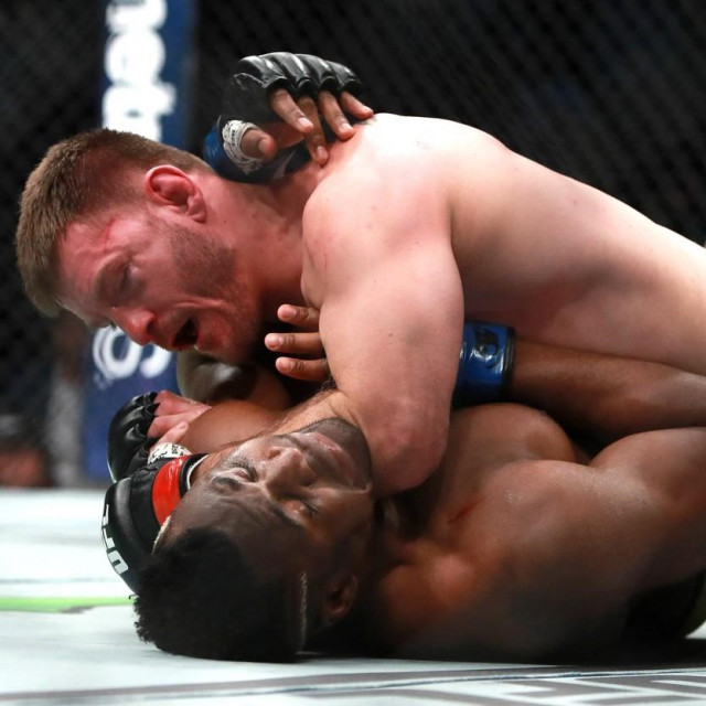 Stipe Miočić vs. Francis Ngannou