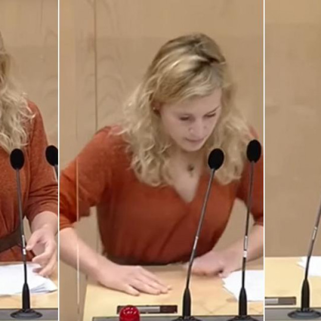 Eva-Maria Holzleitner