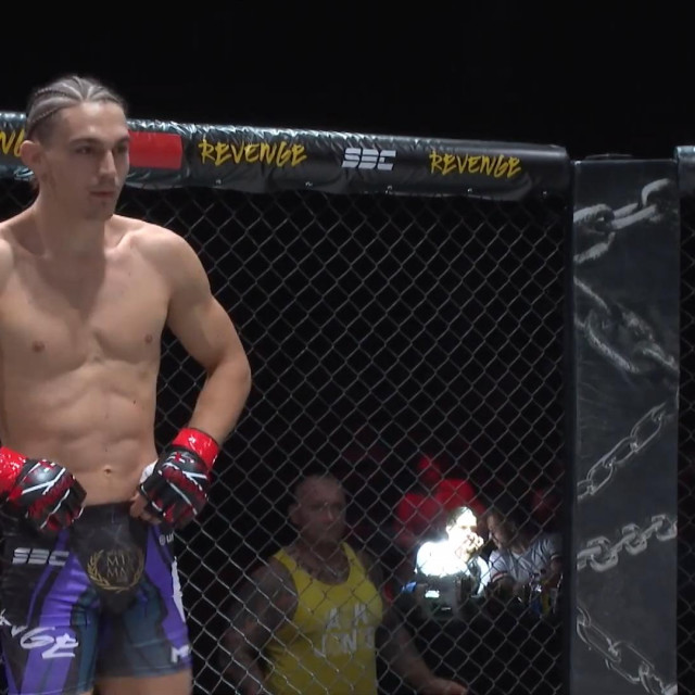 Predrag Bogdanović