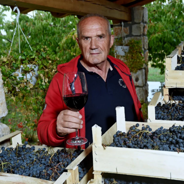 Ljubo Louie Mikulić
