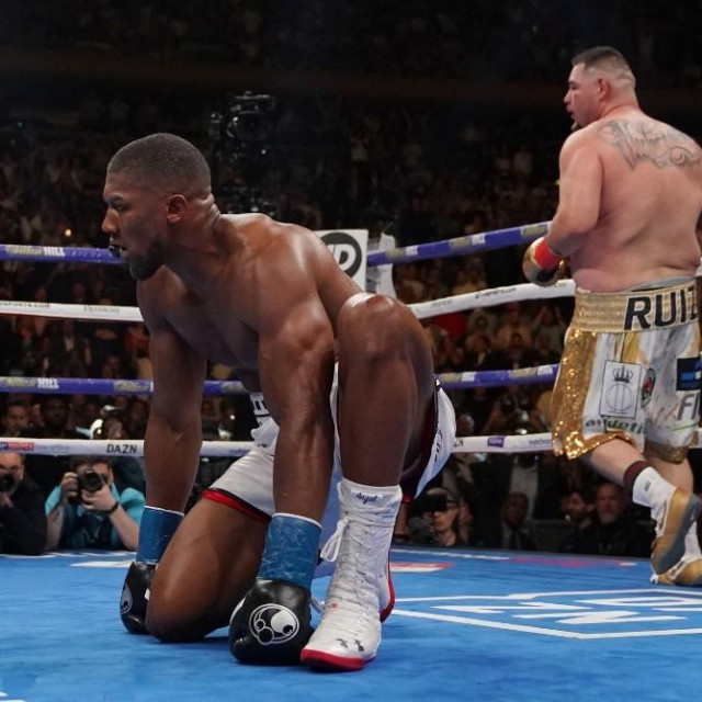 Anthony Joshua vs. Andy Ruiz (1. lipnja 2019.)