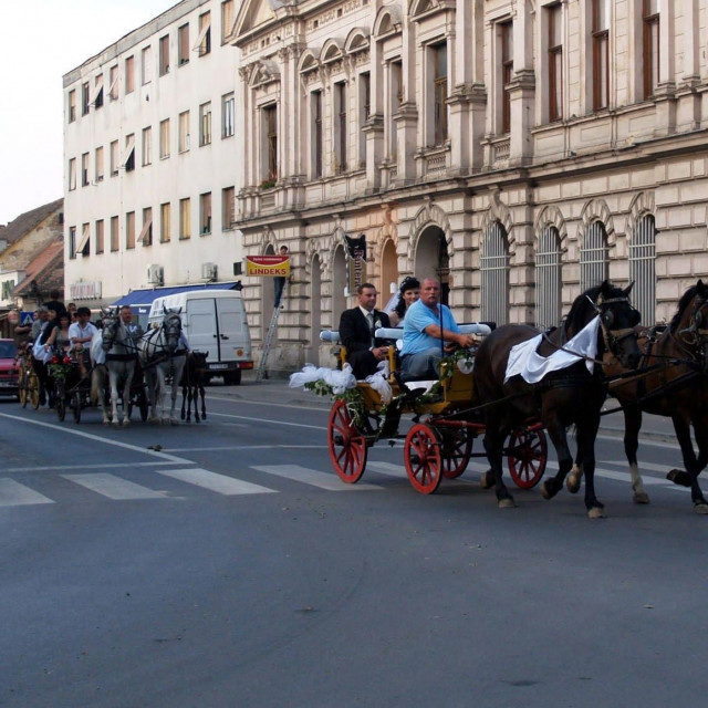 Centar Virovitice