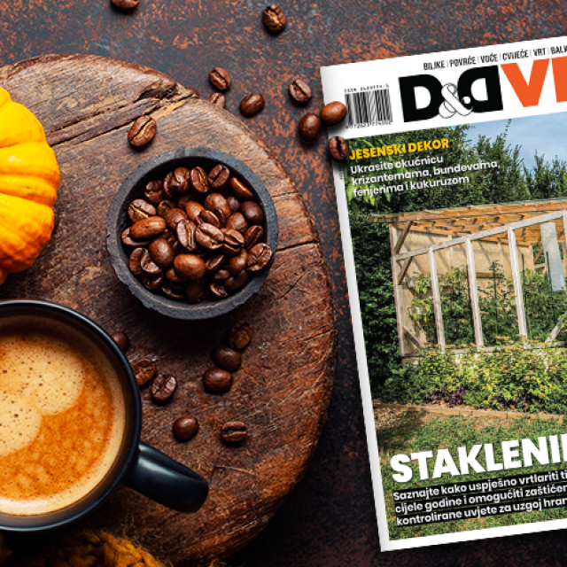 Novi broj magazina D&D vrt