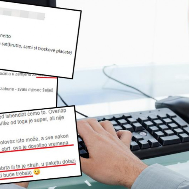 Screenshot jedne od ponuda, ilustracija IT stručnjaka