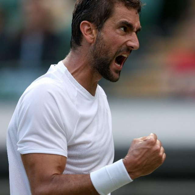 Marin Čilić