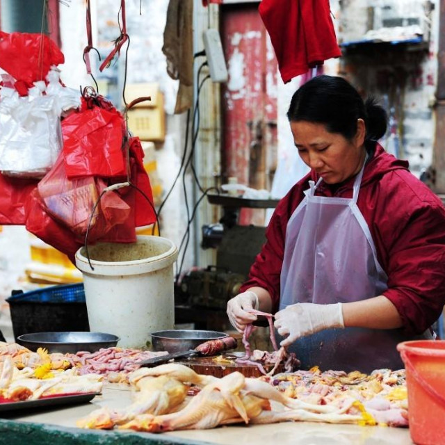 Porast slučajeva kod ljudi u Kini ove godine je razlog za zabrinutost.