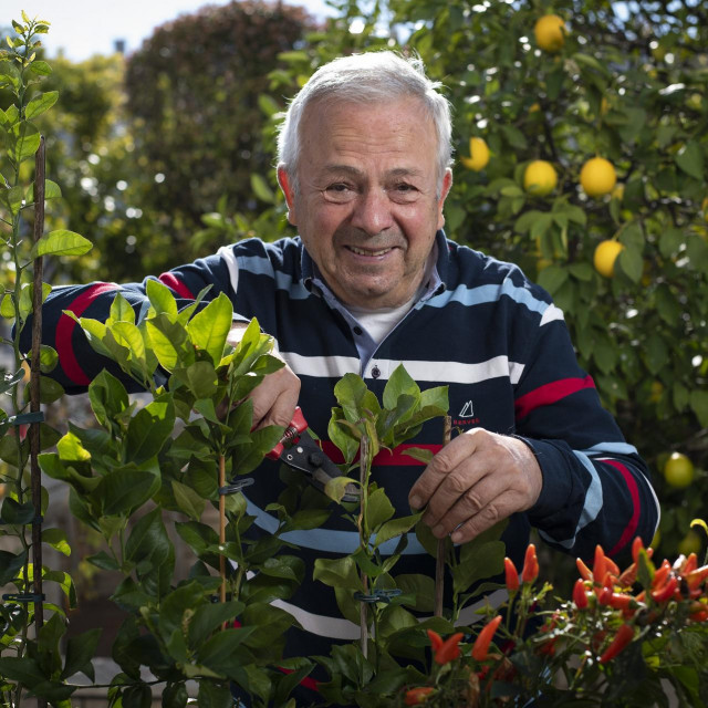 Boris Bozinovic u svom vrtu na balkonu stambene zgrade
 