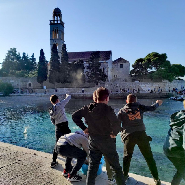 Akcija bacanja bio kugli