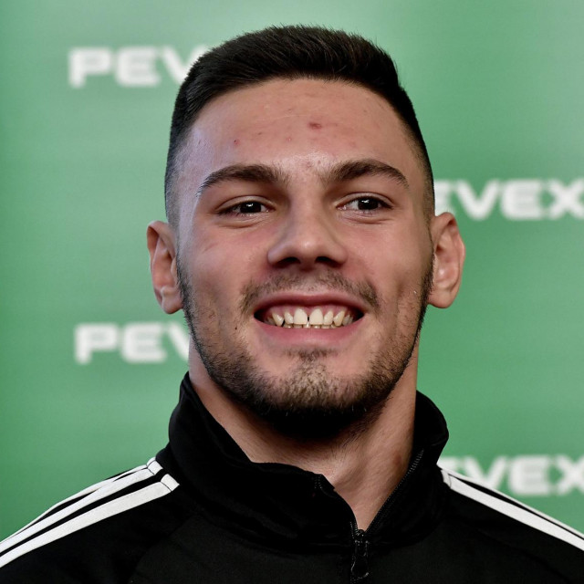 Gabrijel Veočić