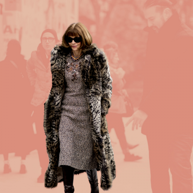 Fotografija: IMAXtree
