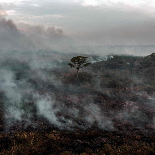Šumski požar u Amazoniji
