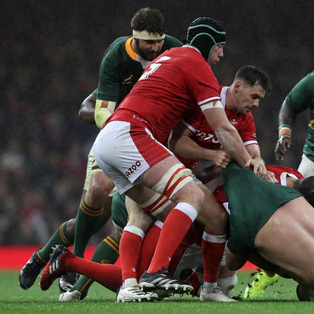 Wales - Južnoafrička Republika
