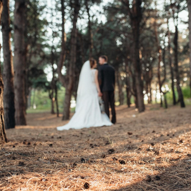 Ilustracija, romantično vjenčanje
