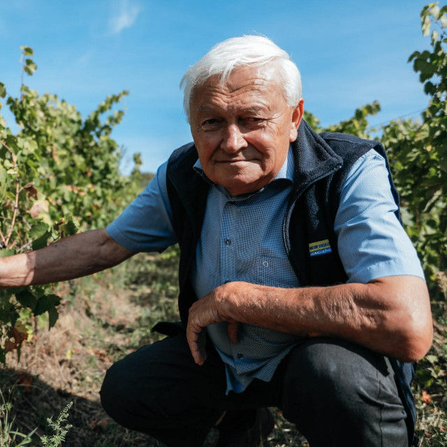 Ivan Enjingi u svom vinogradu
