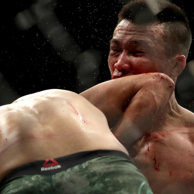Yair Rodriguez vs. Chan Sung Jung (studeni 2018. godine)
