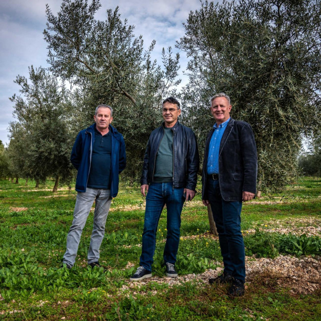 Martin Milas, Vlado Ćorluka, Velimir Jurić
