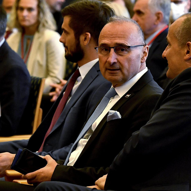 Gordan Grlić Radman 
