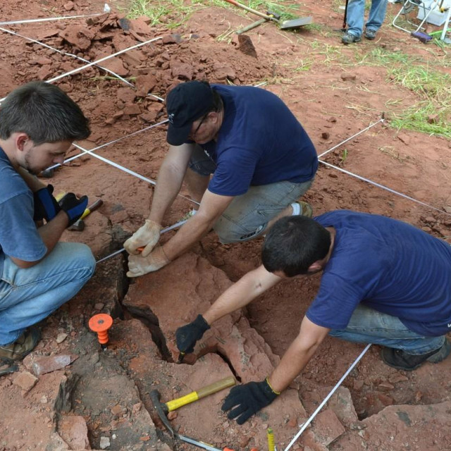 Ostaci bezubog Teropoda 
