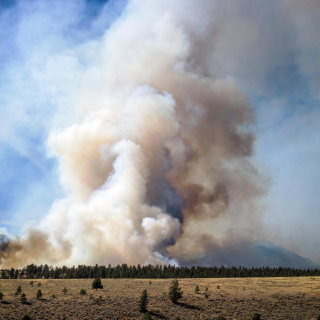 Ilustracija, požar u Coloradu
