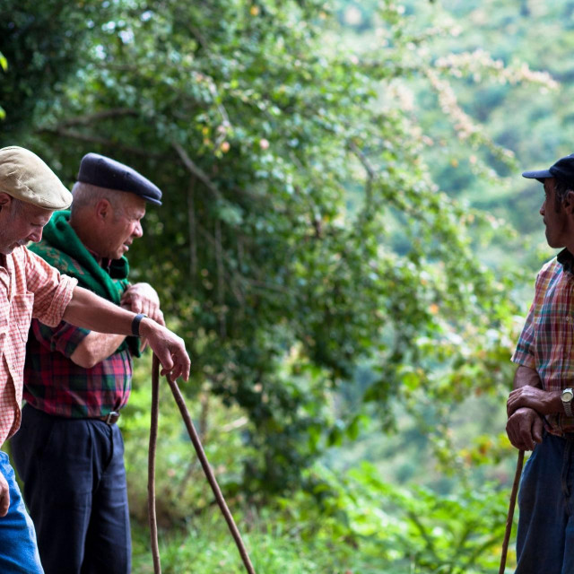 Europski poljoprivrednici, ilustracija
