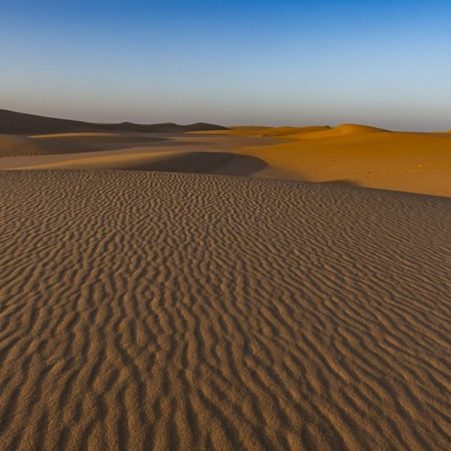 Sahara

