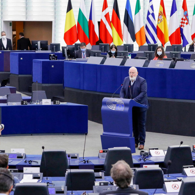 Rasprava u Strasbourgu
