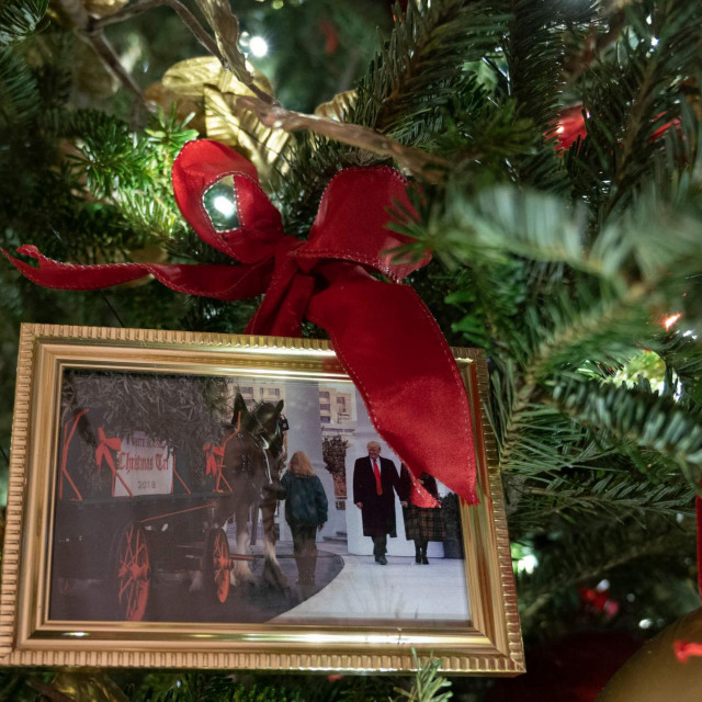 Fotografija bračnog para Trump
