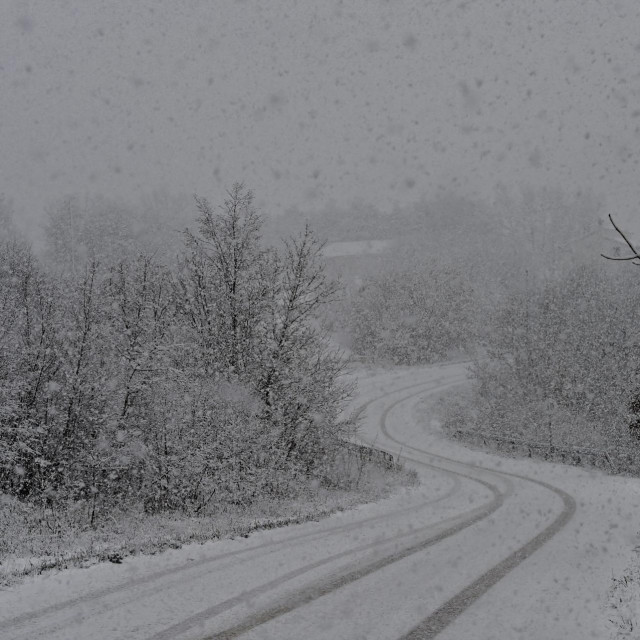 Gusti snijeg u Zelovu

 
