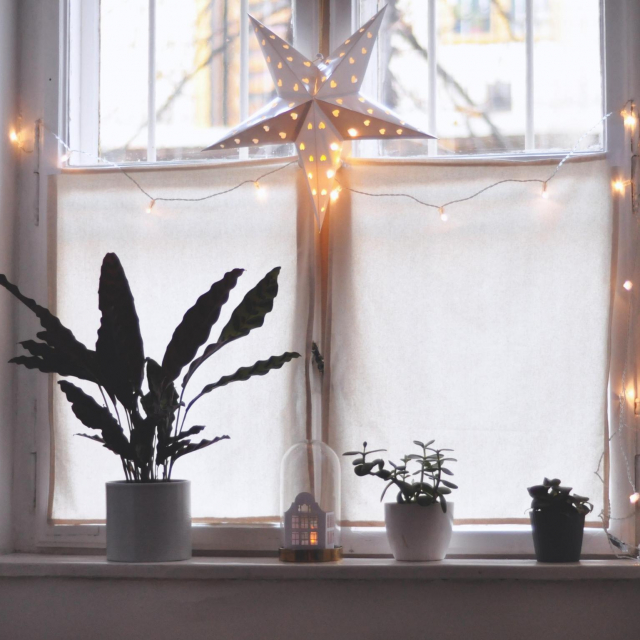 Fotografija: Unsplash
