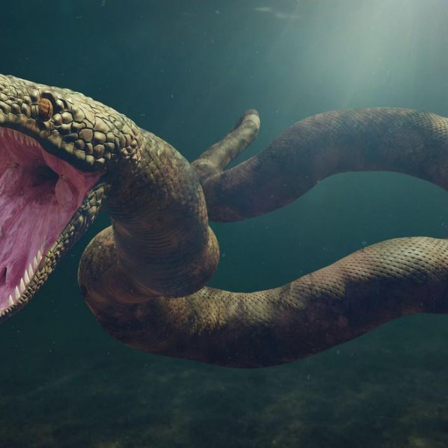Titanoboa cerrejonensis
