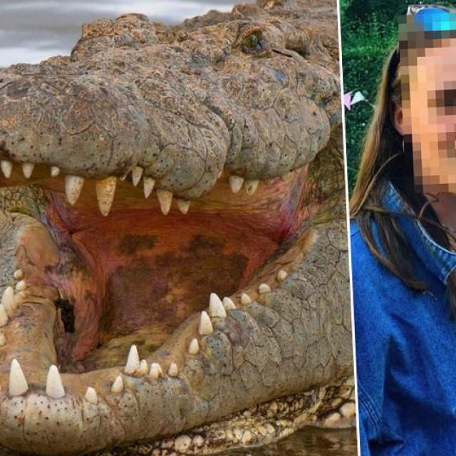 Krokodil i Amelie Osborn-Smith, ilustracija
