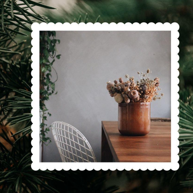 Fotografije: Marija Kosovec
