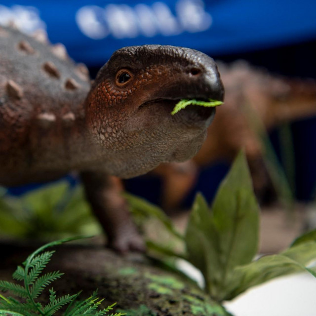 model Stegourosa elengassena izložen u Santiagu
