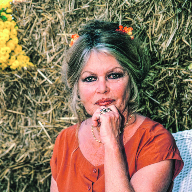 Brigitte Bardot
