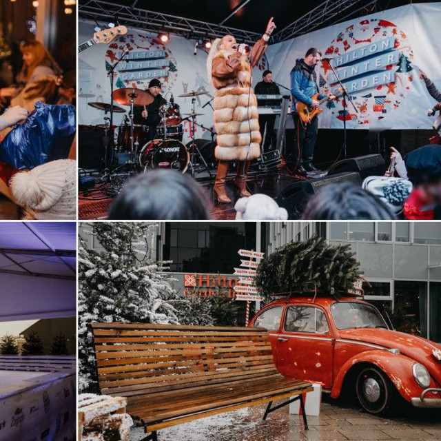 Advent Winter Garden
