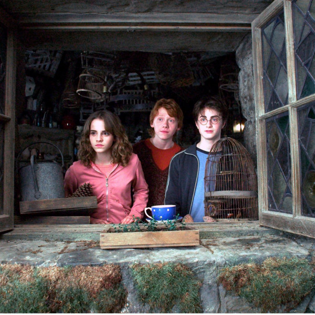 Harry Potter film
