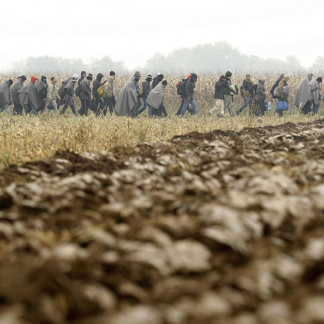 Ilustracija, migranti

