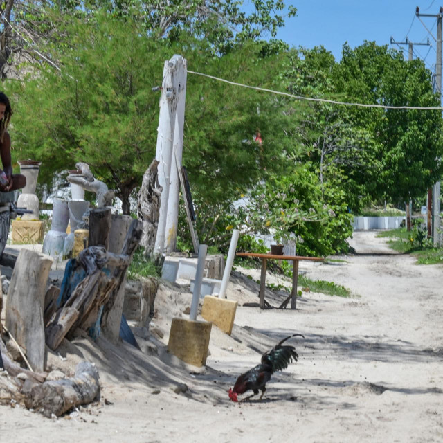 Lokalci na otočju okreću se djelatnostima poput ribarstva, kako bi prehranili obitelji
