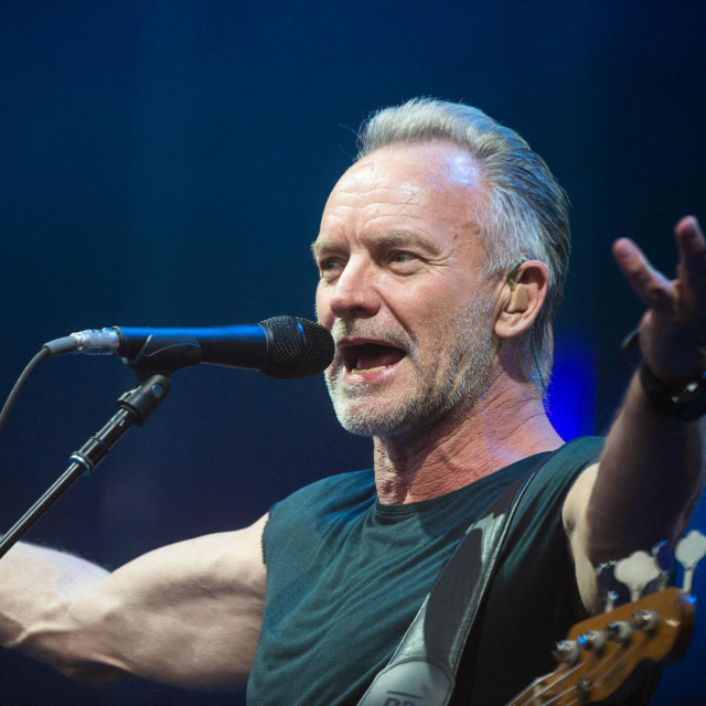 Sting
