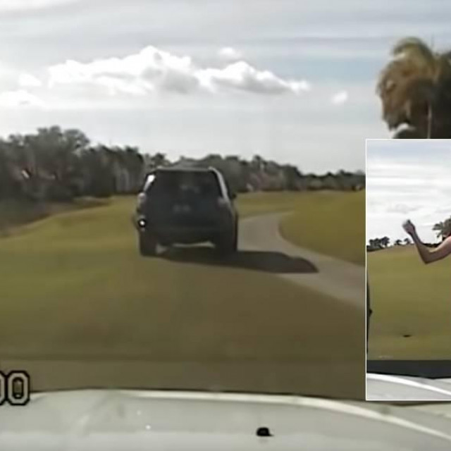 Screenshot incidenta
