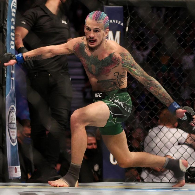 Sean O'Malley
