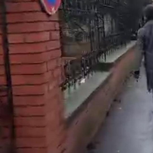 Prosvjednici trčali za liječnicom
