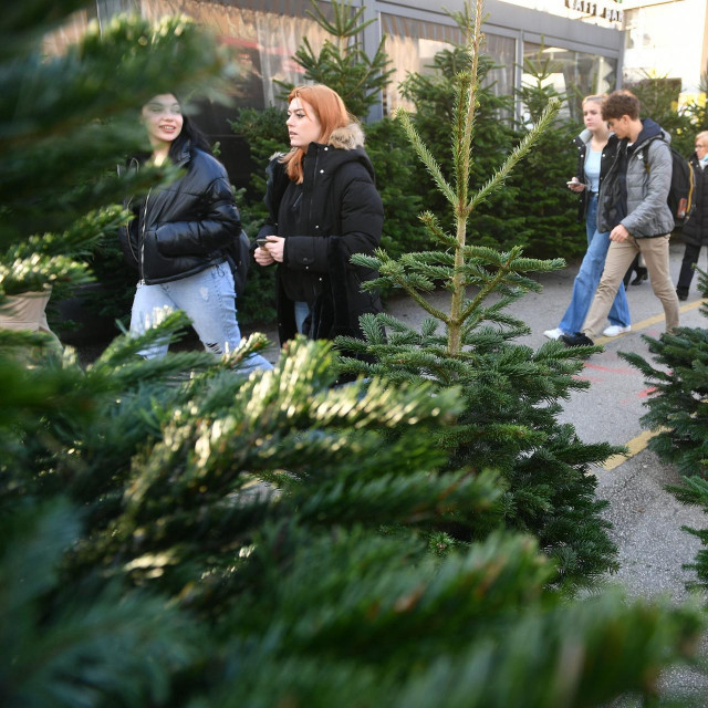 Prodaja borova u Heinzelovoj ulici kod Kvatrića
