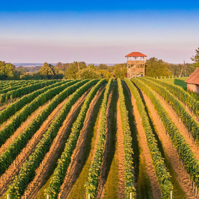 MATOČEC, Bjelovar, portal ZVONO
