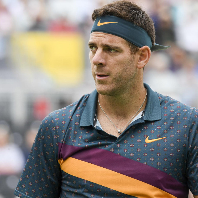 Juan Martin del Potro