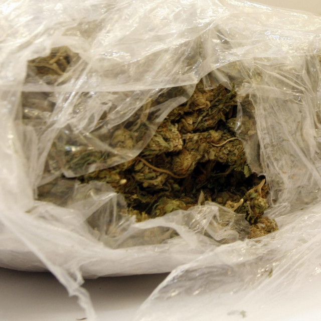 Zapljena marihuane/Ilustracija
