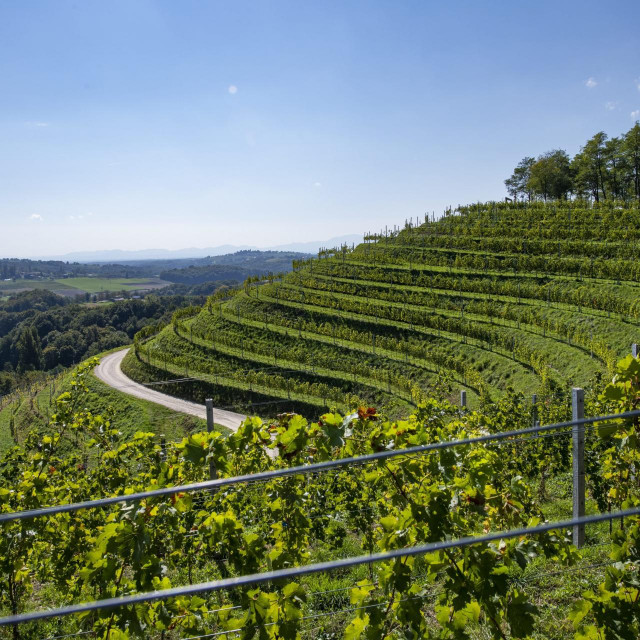 Vinarija Štampar
