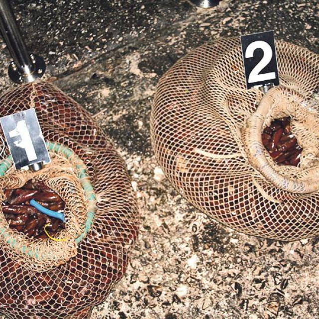 Izlovljeni prstaci; ilustracija
