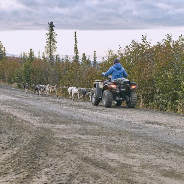 Prizor s Aljaske; ilustracija
