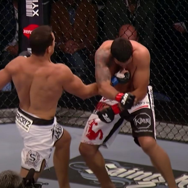 Junior Dos Santos vs. Fabricio Werdum